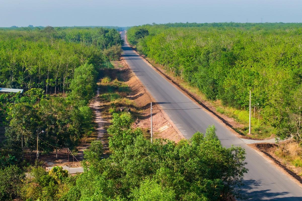 Cận cảnh đường Hồ Chí Minh qua tỉnh Bình Dương dự kiến thông xe kỹ thuật dịp 30-4