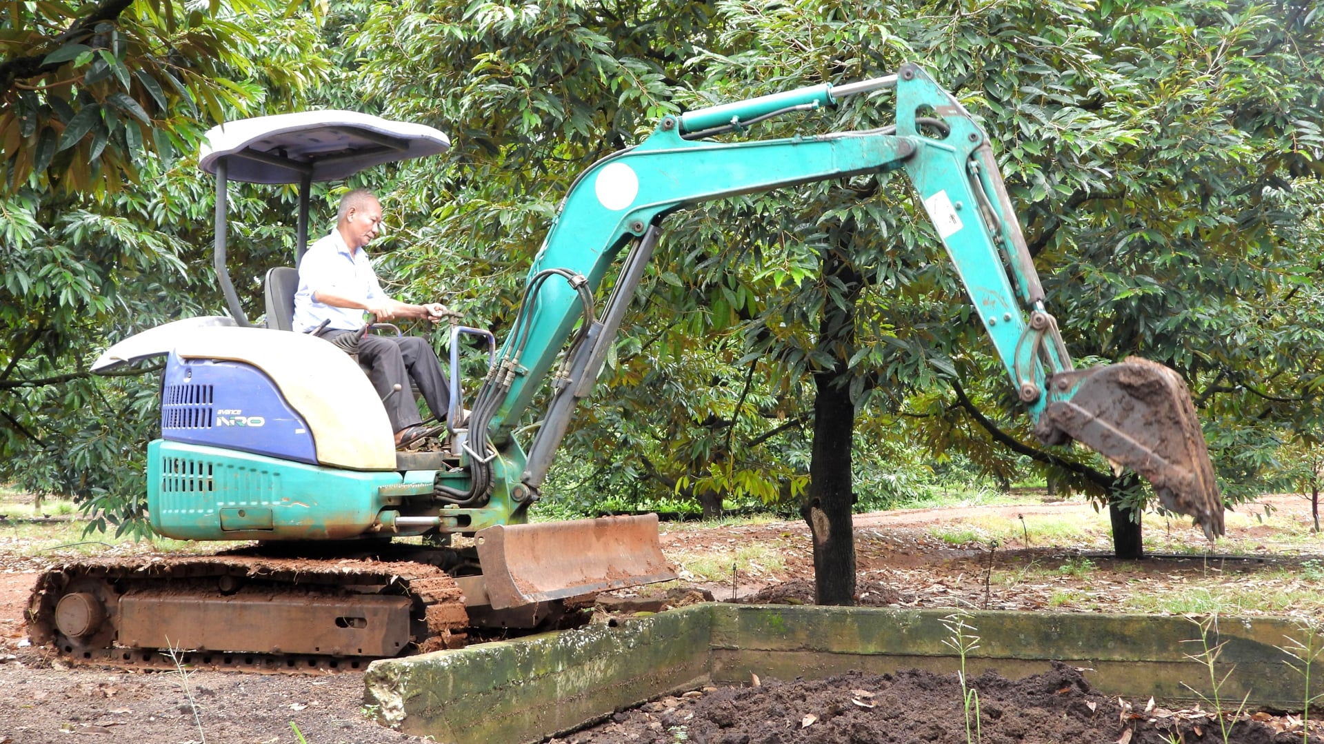 Đất nông nghiệp ở khu vực tỉnh Bình Phước cũ. Ảnh: Nguyên Vỹ